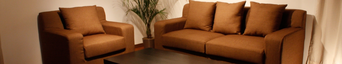 新潟県でソファー・椅子のクリーニングならお任せ下さい